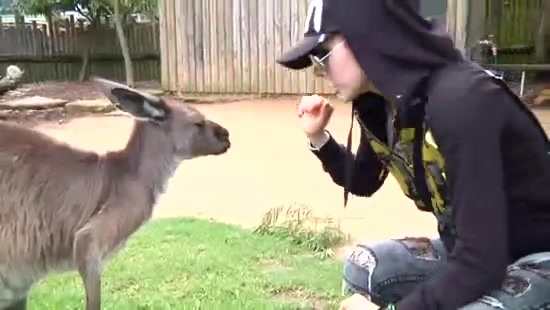 Avril Lavigne- At The Zoo (2011) 357