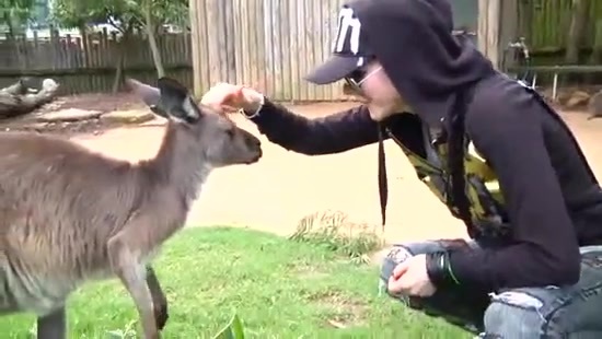 Avril Lavigne- At The Zoo (2011) 361