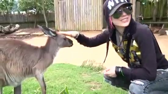 Avril Lavigne- At The Zoo (2011) 363 - Avril - Lavigne - At - ZOO - Video - Captures