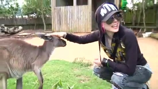 Avril Lavigne- At The Zoo (2011) 364