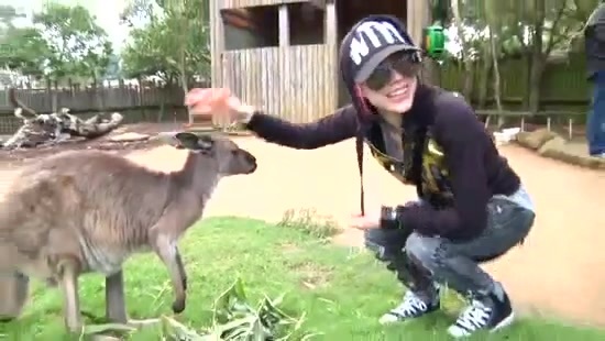 Avril Lavigne- At The Zoo (2011) 365