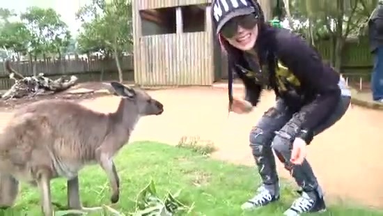 Avril Lavigne- At The Zoo (2011) 366 - Avril - Lavigne - At - ZOO - Video - Captures