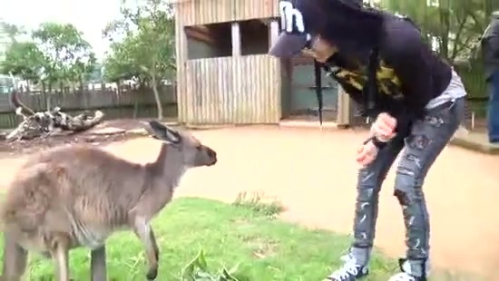 Avril Lavigne- At The Zoo (2011) 367