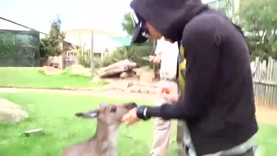Avril Lavigne- At The Zoo (2011) 371 - Avril - Lavigne - At - ZOO - Video - Captures