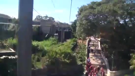 Avril Lavigne- At The Zoo (2011) 472