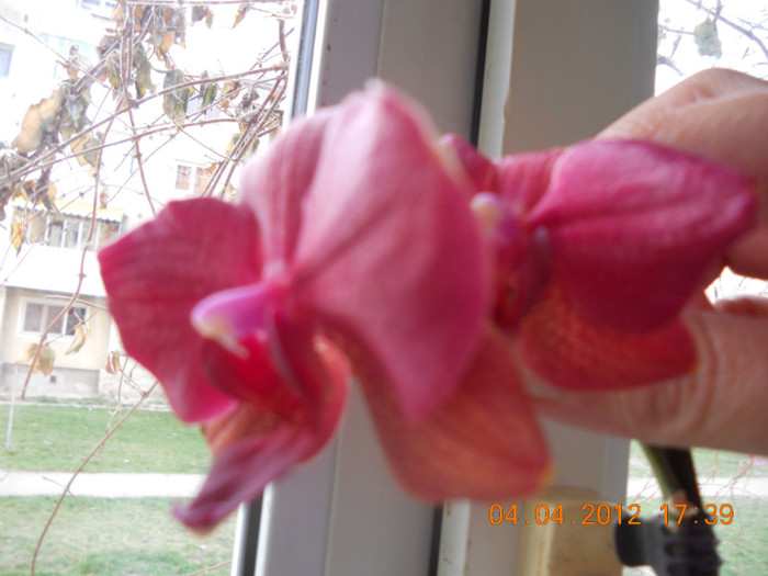 DSCN0339