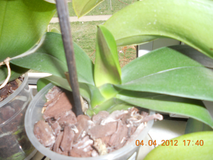 DSCN0342