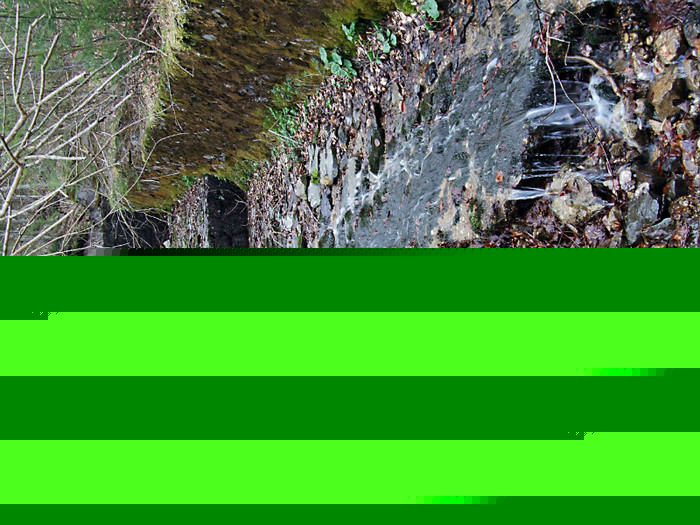 DSCF0134
