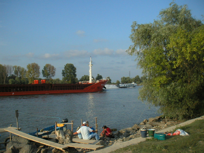 la curatat peste...Crisani - prin Delta Dunarii