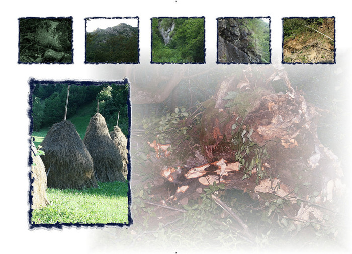 Page042 - Natura in imagini