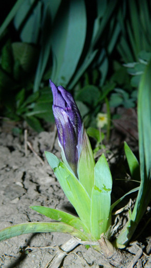DSCN1752