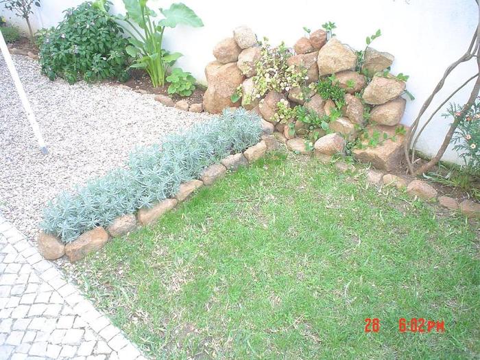 un colțișor uitat din grădină - 2 -gradina mea de vis