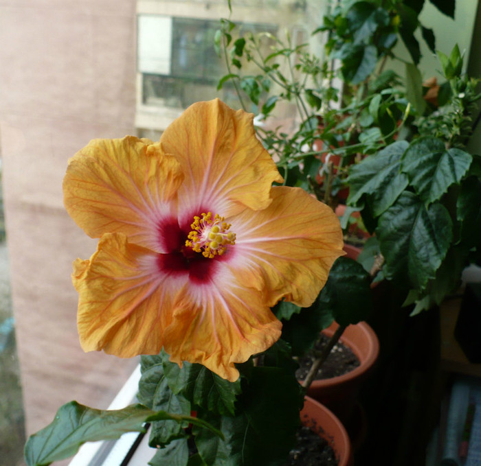 P1370908