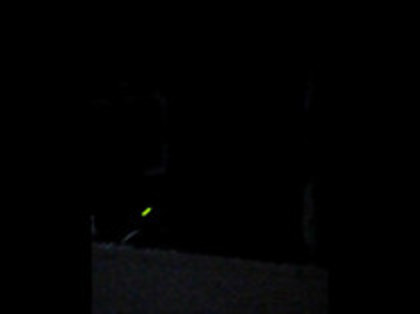 Demi Lovato - Moves Like Jagger (1465) - Demilush - Moves Like Jagger Strawberry Festival oo4