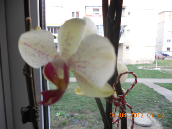 DSCN0362