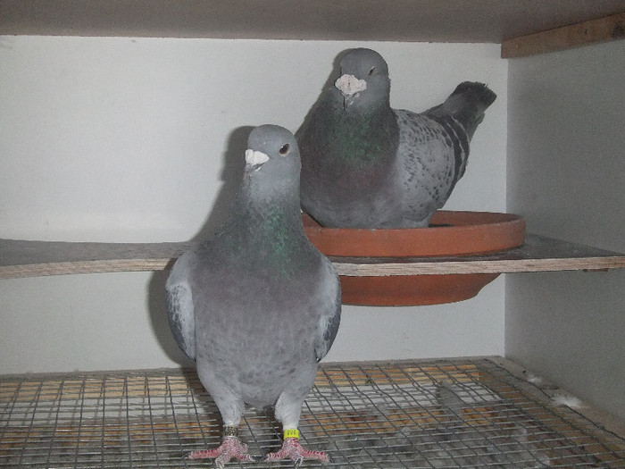 DSCF8909