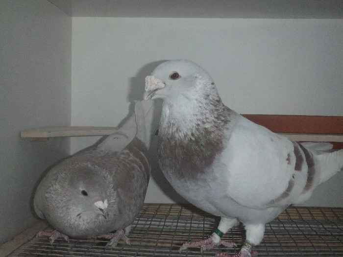 DSCF8949