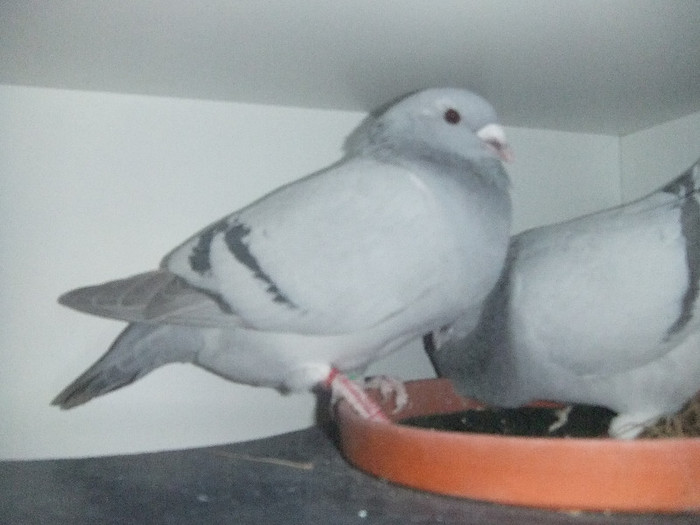 DSCF9140