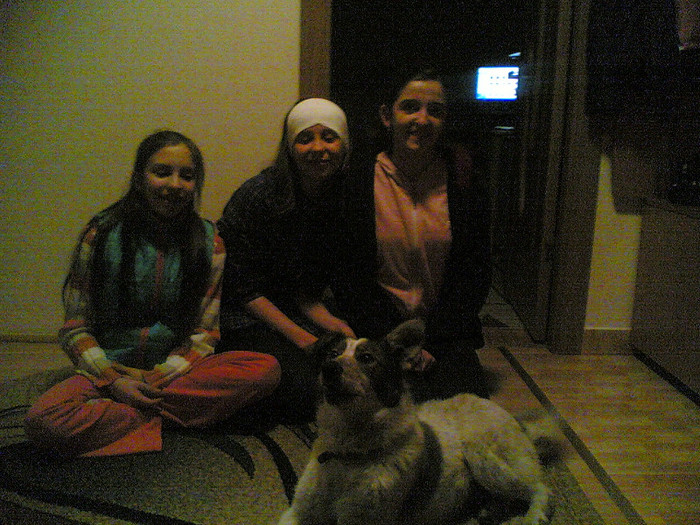 20032012(005); toata lumea te iubeste,draga mea LADY!
