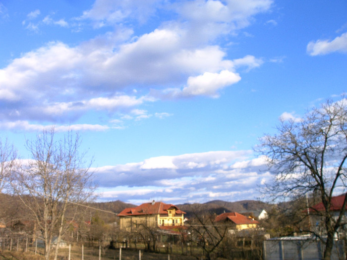 IMAG0022 - Diverse poze