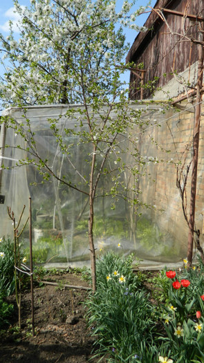 DSCN1822 - APRILIE 2012