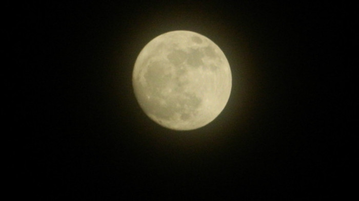 DSCN1852 - APRILIE 2012