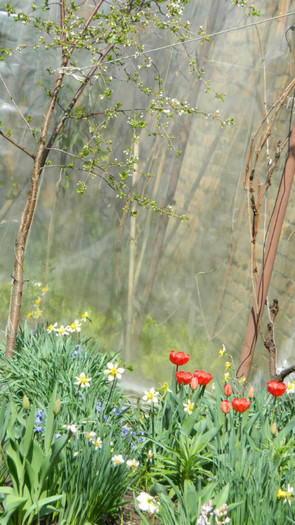 DSCN1788 - APRILIE 2012