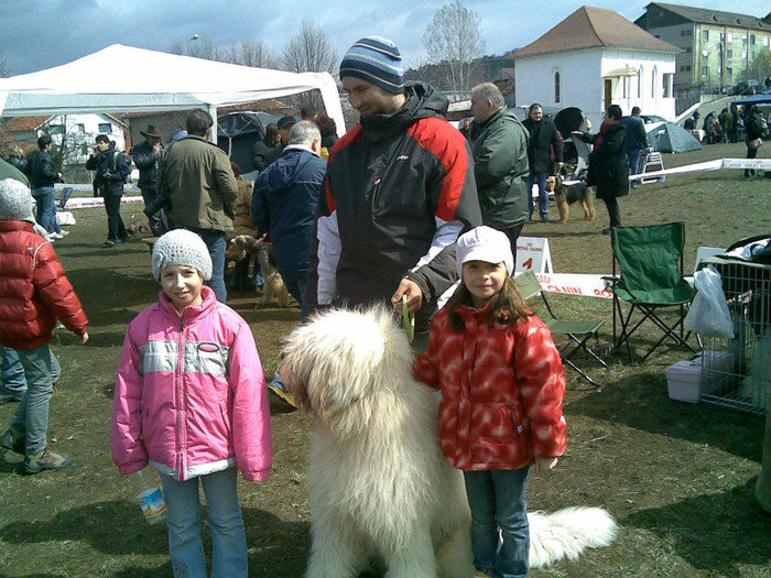 31032012(027) - Expozitie canina medias 2012-31-martie