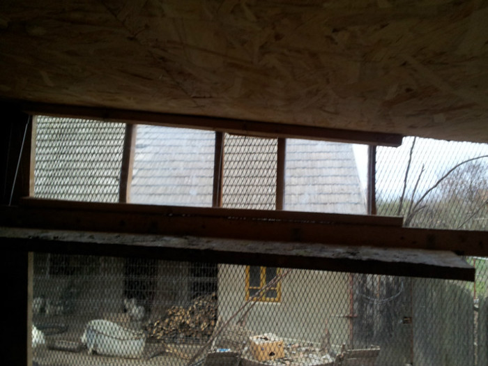 20120401_074452; intrare porumbei.
