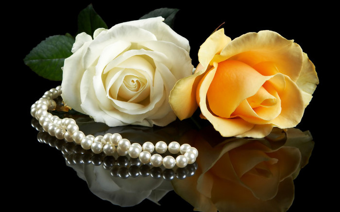 trandafiri albi galbeni poze desktop - POZE DEKSTOP