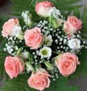 trandafiri de nunta - poze flori