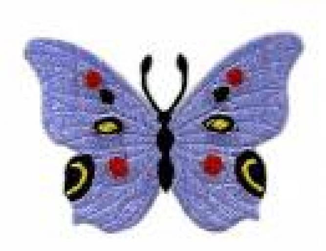 fluturele-colorat - Animale frumoase poze si orce vreti