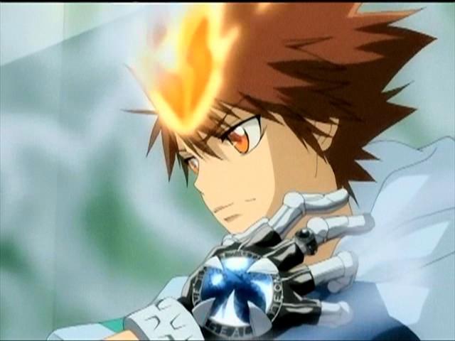 tsuna 2