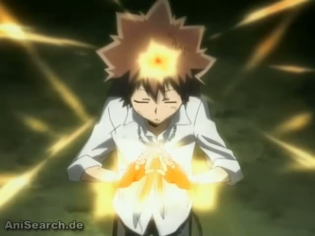 tsuna 8