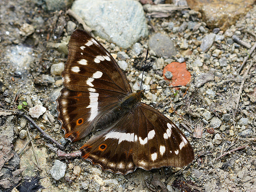 5998544875_1c209015e3