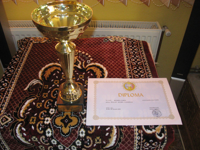 Picture 010 - diploma si cupa de la expo brasov