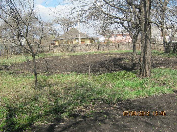 IMG_1193 - april 2012