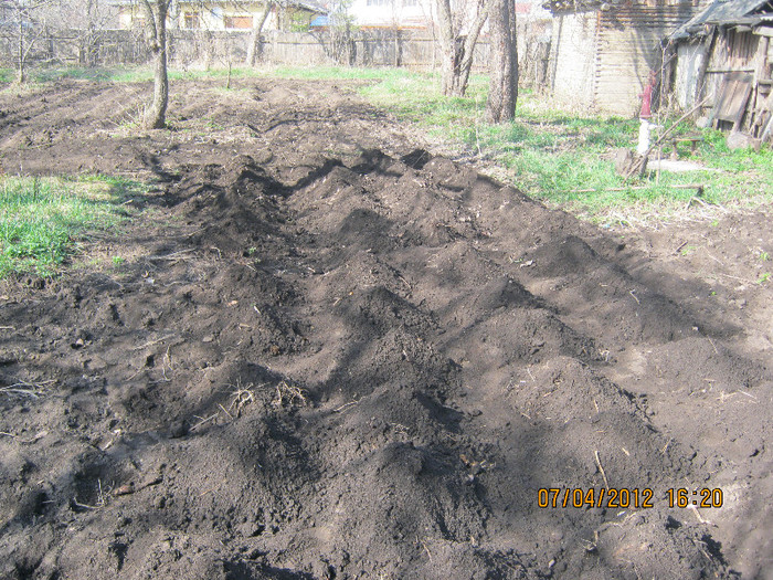 IMG_1211 - april 2012
