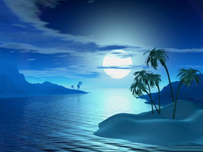 Tropic_Night