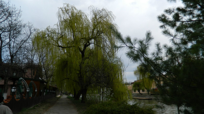 DSCN1259 - TIMISOARA 2012