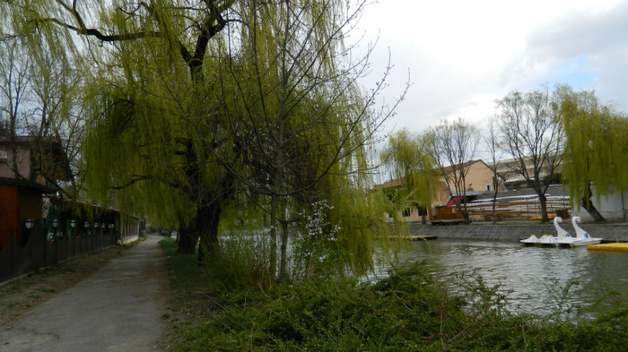 DSCN1260 - TIMISOARA 2012