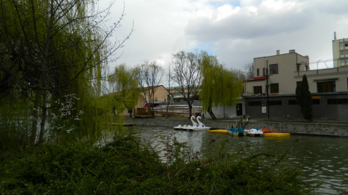 DSCN1262 - TIMISOARA 2012