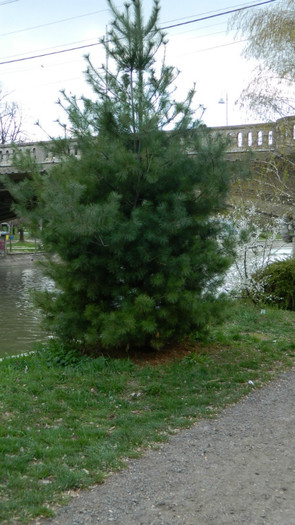 DSCN1266 - TIMISOARA 2012