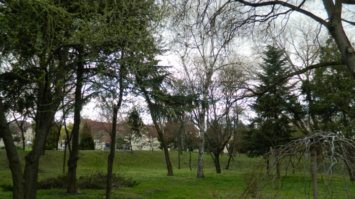 DSCN1276 - TIMISOARA 2012