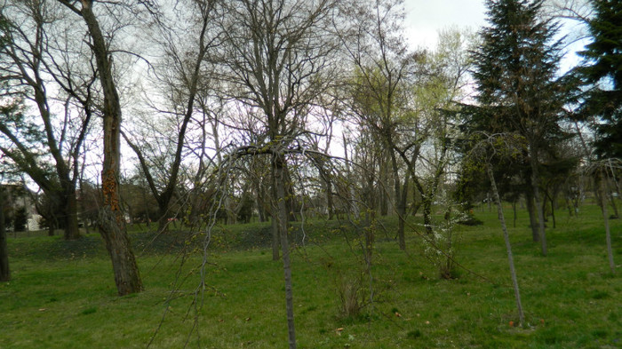 DSCN1278 - TIMISOARA 2012