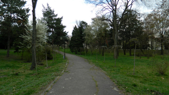 DSCN1279 - TIMISOARA 2012