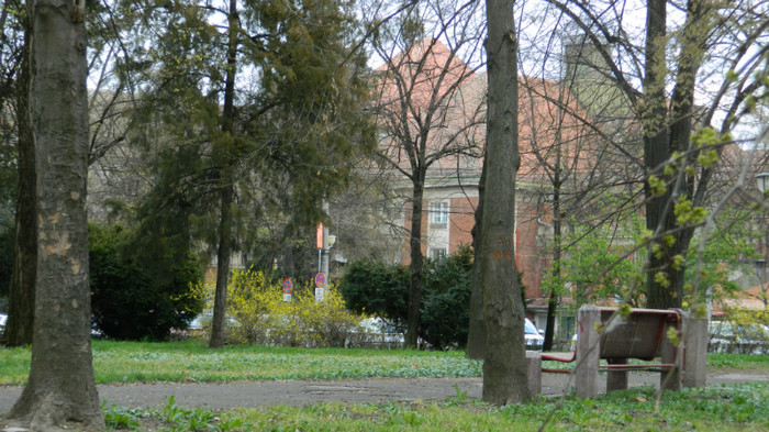 DSCN1287 - TIMISOARA 2012