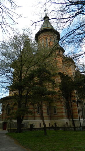 DSCN1290 - TIMISOARA 2012