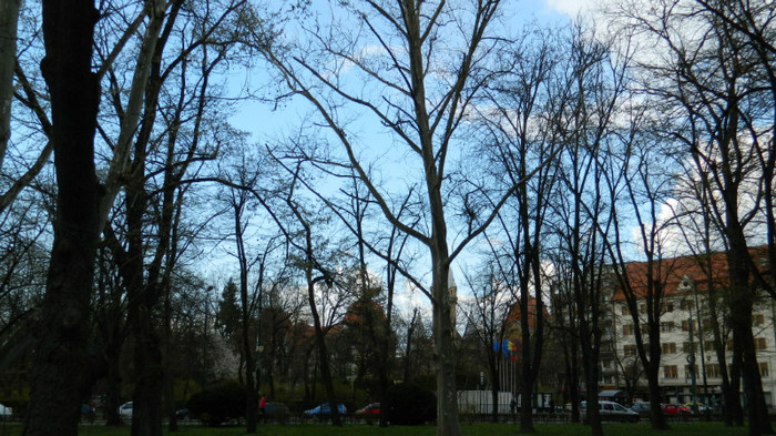 DSCN1292 - TIMISOARA 2012