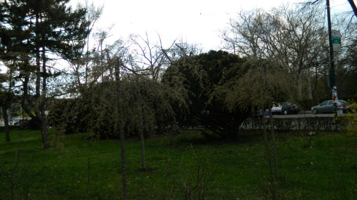 DSCN1295 - TIMISOARA 2012